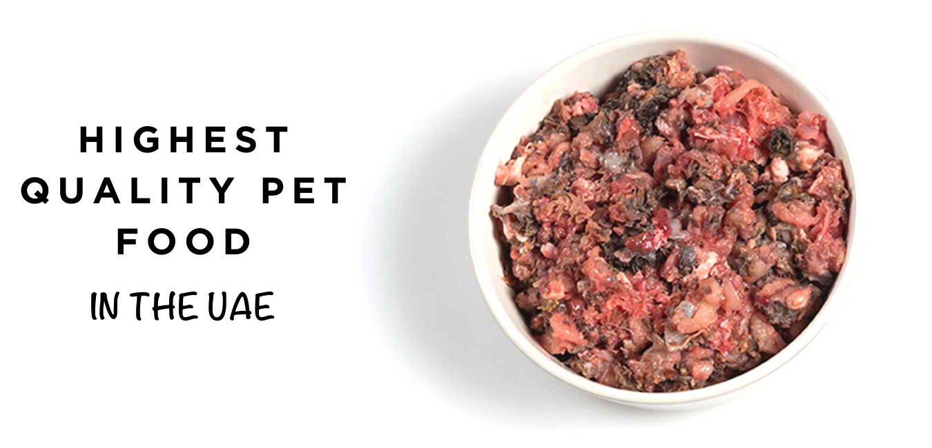 Premade dog food clearance